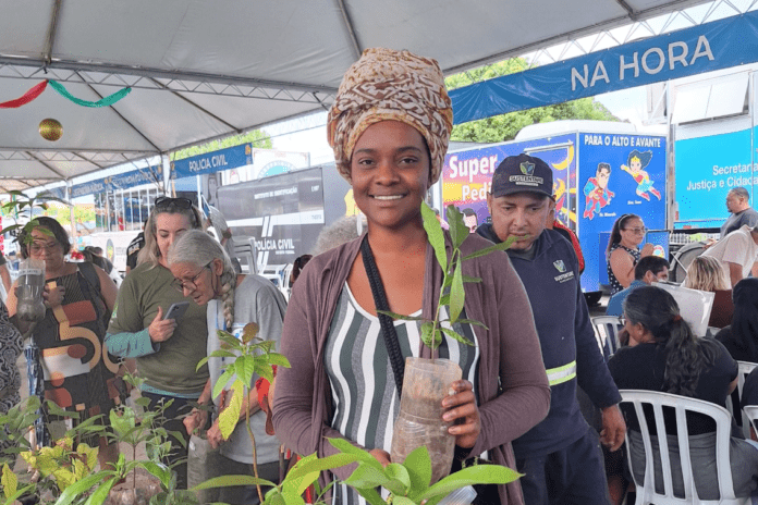 captura de tela 2024 12 14 às 06.07.53