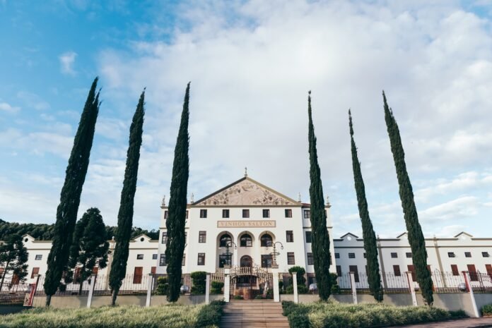 Salton completa 115 anos com tradição e inovação no setor