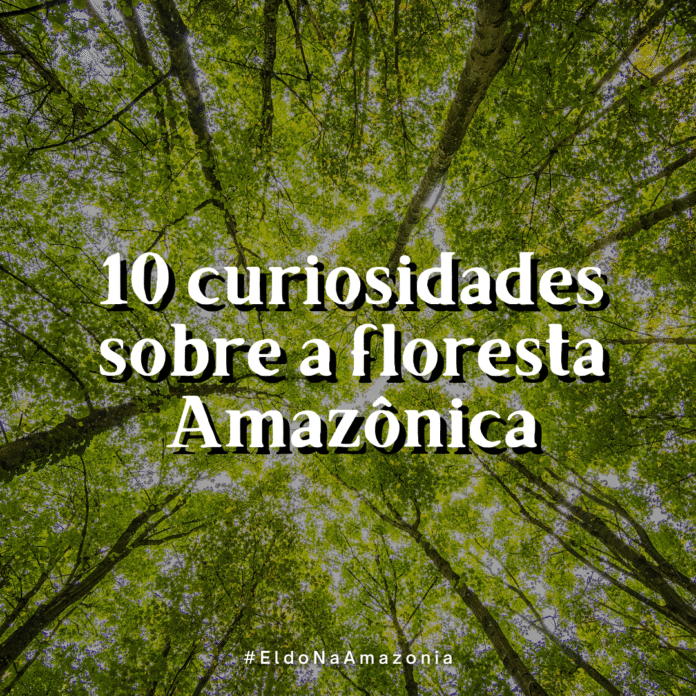 biodiversidade da floresta amazônica, povos indígenas na Amazônia brasileira, impacto climático da floresta amazônica, rios subterrâneos da Amazônia, espécies endêmicas da floresta amazônica, ciclo de chuvas na região amazônica, solo pobre da floresta tropical, árvores gigantes da Amazônia brasileira, curiosidades sobre insetos amazônicos, pesquisas científicas na floresta amazônica