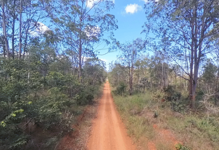 Floresta Nacional de Brasília