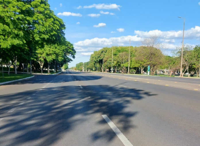 A vida bucólica no Eixão de Brasília