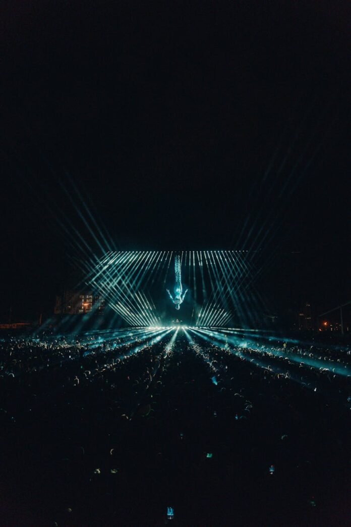 crowd at the concert at night