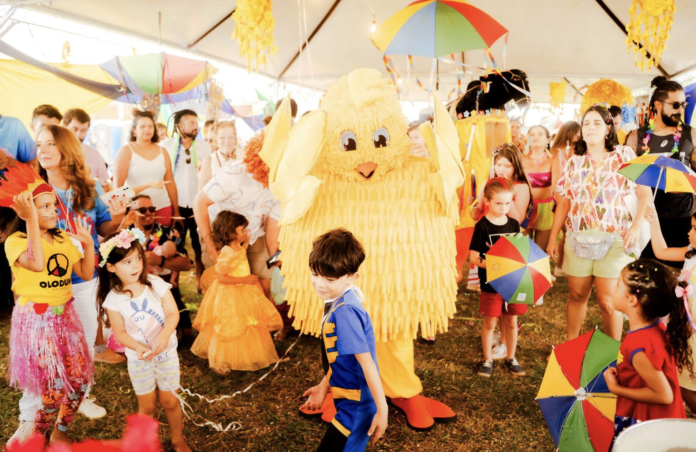 Quer curtir o Carnaval de Brasília? Listamos alguns bloquinhos para você se divertir