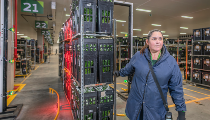 Presença feminina avança e impulsiona a logística