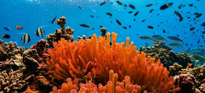 EcoRodovias testa energia do mar em rodovias