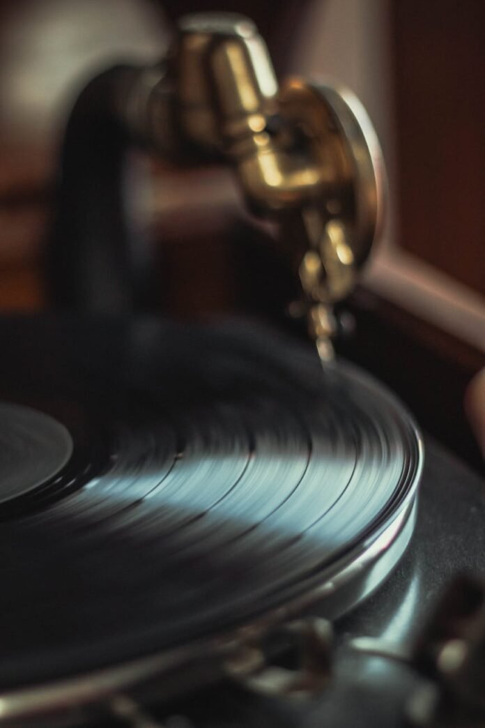 selective focus photo of a black vinyl