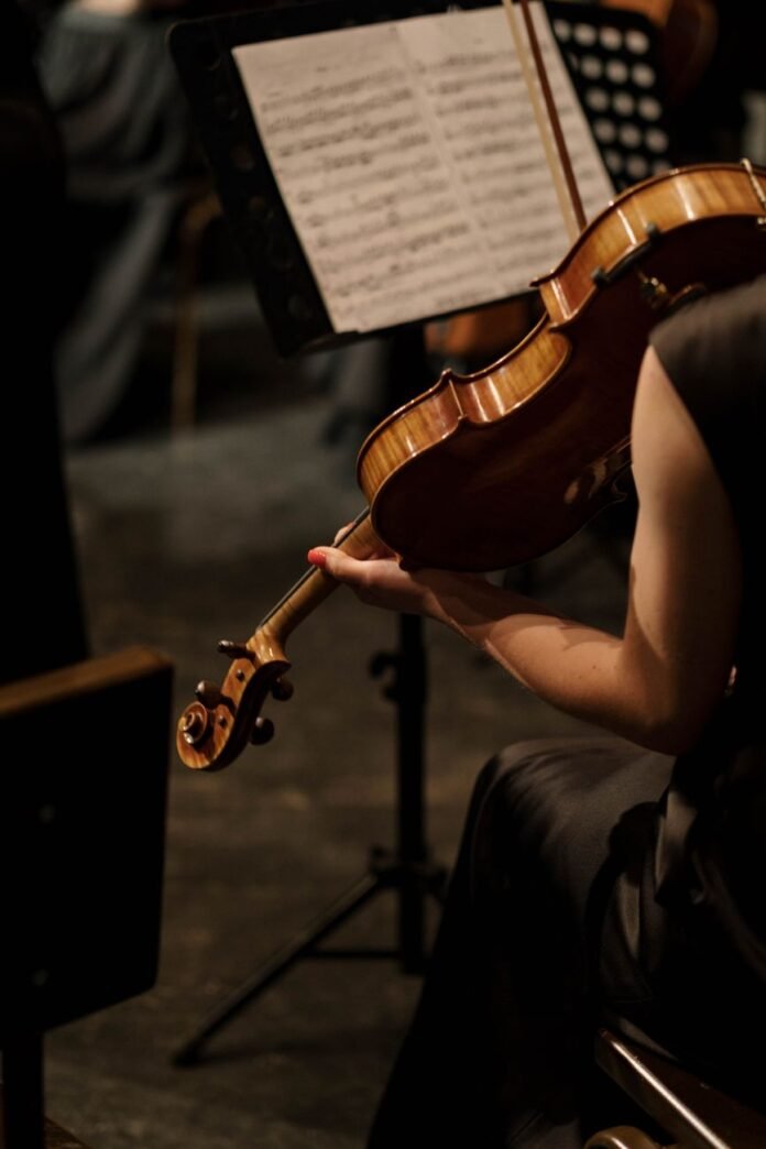 back view of playing violinist at concert